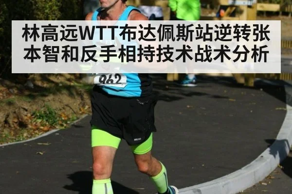 林高远WTT布达佩斯站逆转张本智和反手相持技术战术分析
