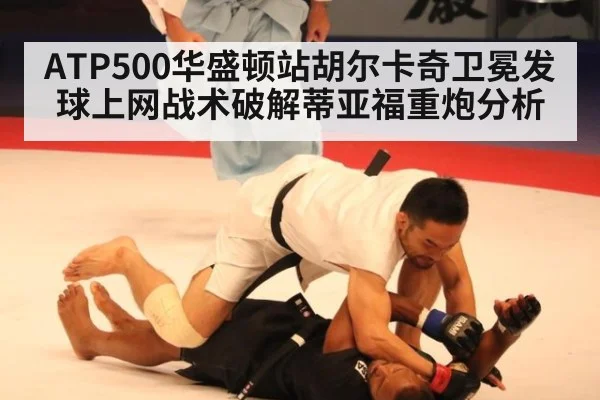 ATP500华盛顿站胡尔卡奇卫冕发球上网战术破解蒂亚福重炮分析